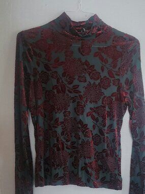 Anthropologie mesh velvet Top